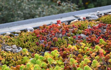 the cost of Cunningburn green roof installation