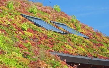 Cunningburn living roof systems